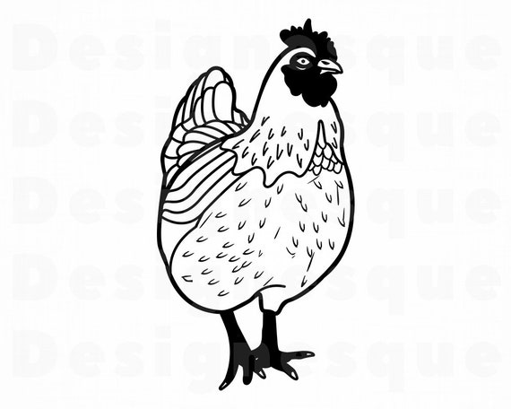 4 Svg Huhn Huhn Svg Huhn Clipart Huhn Dateien Fur Cricut Etsy