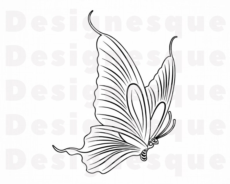 Free Free 236 Butterfly Outline Svg SVG PNG EPS DXF File
