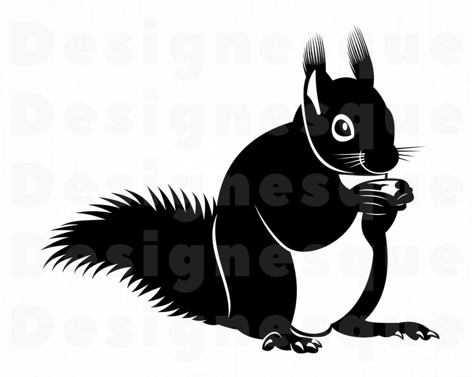European Squirrel SVG Squirrel Svg Squirrel Clipart | Etsy