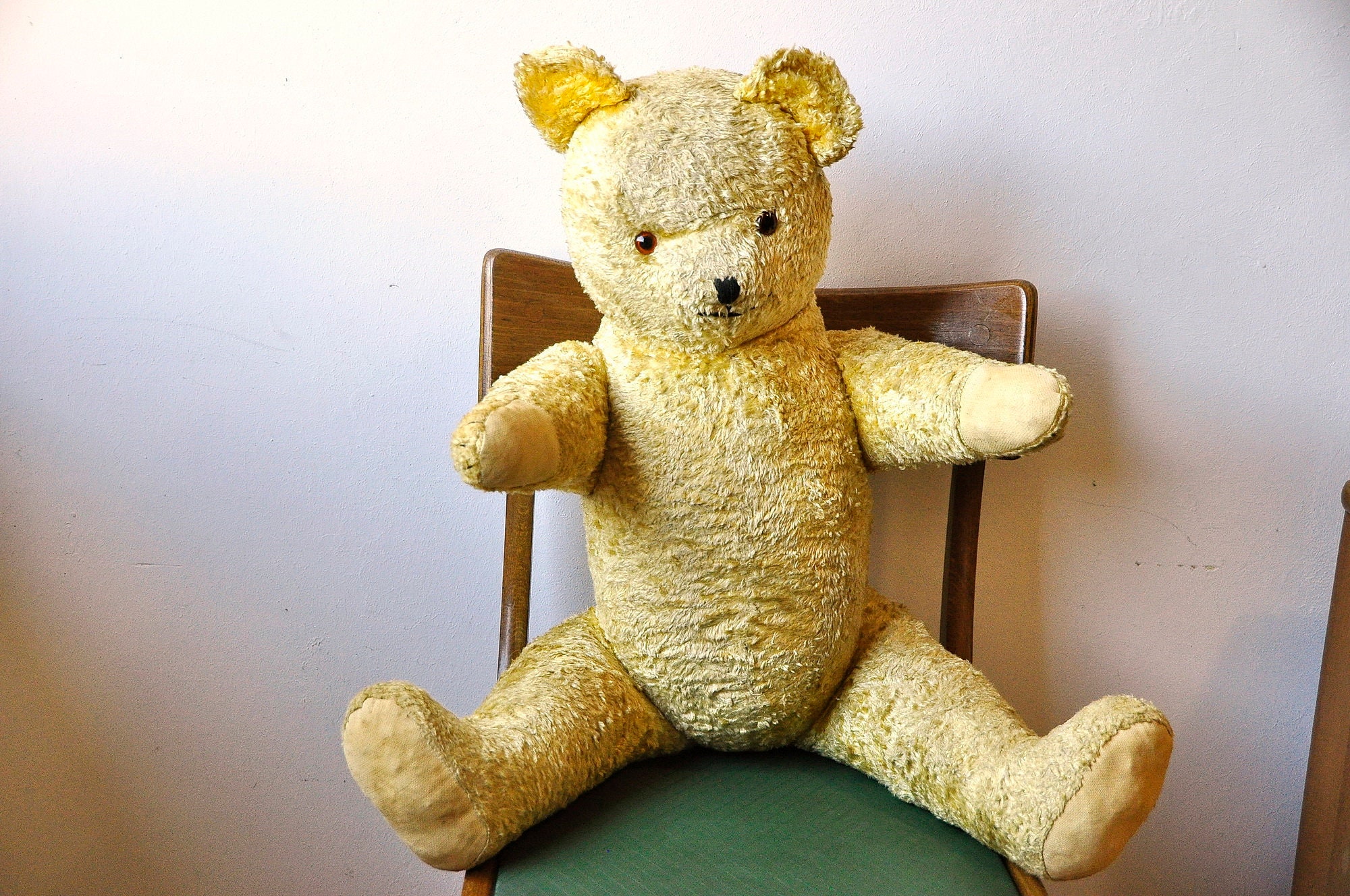 Prunelle　BEAR　DOLL　　箱入り　アンティーク　テディベア Prunelle BEAR DOLL 箱入り アンティーク テディベア