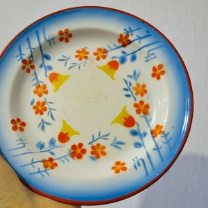 Vintage enamel plate from Yugoslavia, Emo Yugoslavia, Enamel plate, colorful plate, blue red plate, colorful floral plate, from Yugoslavia
