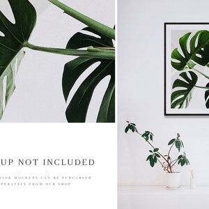 May include: A framed print of a green monstera plant against a white background. The print is hanging on a white wall above a white shelf with a small green plant in a white pot.