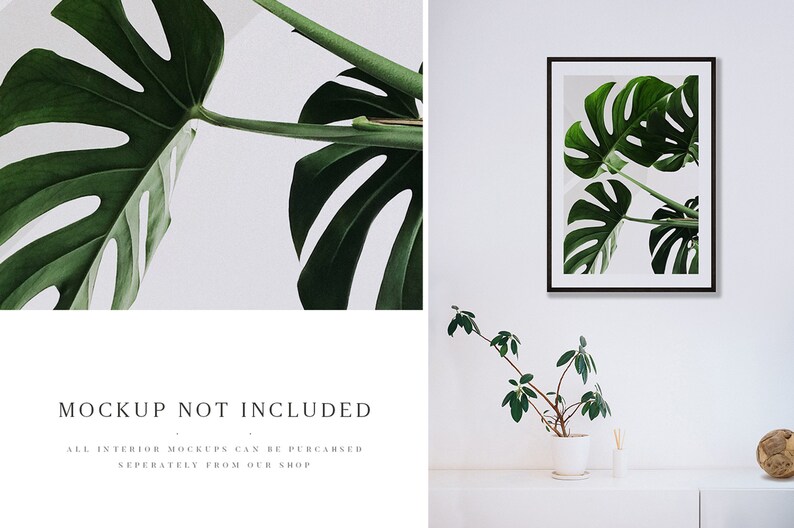 May include: A framed print of a green monstera plant against a white background. The print is hanging on a white wall above a white shelf with a small green plant in a white pot.