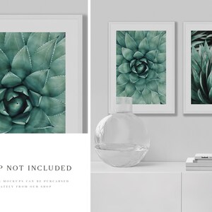 May include: Three framed prints of close-up photos of green succulent plants. The prints are hanging on a white wall above a white shelf with a clear glass vase and a stack of books.