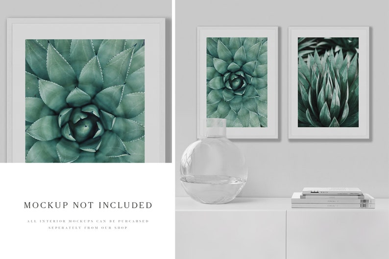 May include: Three framed prints of close-up photos of green succulent plants. The prints are hanging on a white wall above a white shelf with a clear glass vase and a stack of books.