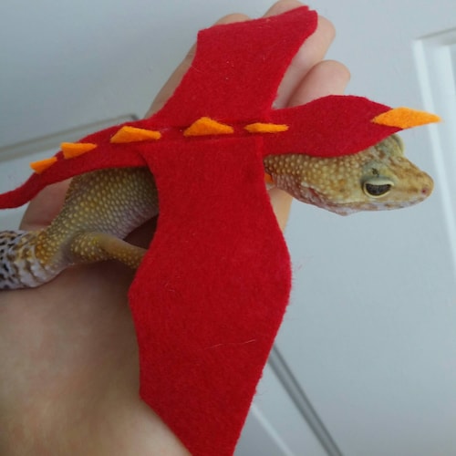 Leopard Gecko and Other Lizard Hats Etsy Canada