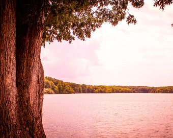 Pink Landscape