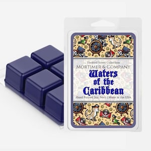 WATERS of the CARIBBEAN Disney Inspired Wax Melt | Pirates of the Caribbean Ride Scent | Sea Breeze Fragrance | Disney Gift Soy Wax
