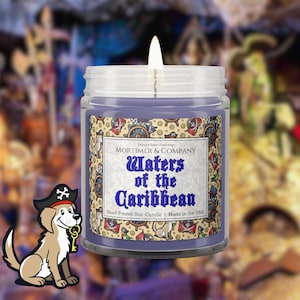 WATERS of the CARIBBEAN Disney Inspired Candle | Pirates Ride Fragrance | Sandalwood Moss & Sea Breeze Scent | Disney Gift Soy Candle
