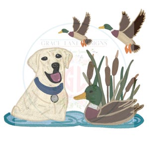 May include: An illustration featuring a yellow Labrador Retriever wearing a blue collar and a silver tag, a duck in water, two ducks in flight, and cattails. The ducks have brown and green feathers. The illustration is on a white background.
