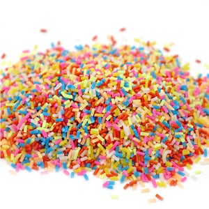 Polymer Sprinkles 5g-Tiny Fake Sprinkles-Slime Accessories-Party Supplies-Kawaii Sprinkles-Party Decoration-Decoden Sprinkles-Clay Sprinkles