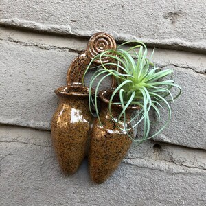 May include: A wall-mounted planter with two brown speckled ceramic pots, each holding a small air plant. The planter is made of brown speckled ceramic and has a unique design.