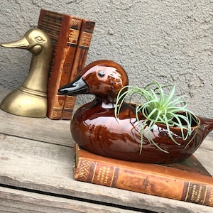 Vintage Ceramic Brown Duck / Bird Planter / Pot / Flower Pot - Boho/Eclectic/Cottage Chic/Cabin Decor