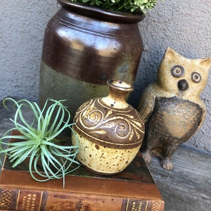 Könnte beinhalten: Ein dekoratives Stillleben mit einer kleinen, runden, beige-braunen Keramikvase mit Wirbeldesign, einem braun-grünen Keramiktopf mit Grün, einer geschnitzten Eulenfigur und einem Stapel alter Bücher.