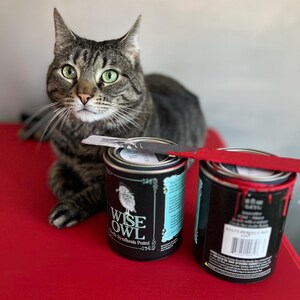 Pode incluir: Um gato tigrado est&aacute; sentado em uma superf&iacute;cie vermelha com duas latas de tinta de s&iacute;ntese de giz Wise Owl Chalk Synthesis. Uma lata est&aacute; aberta e a outra est&aacute; fechada. A lata aberta tem um r&oacute;tulo azul e branco com o logotipo Wise Owl e o texto "Chalk Synthesis Paint". A lata fechada tem um r&oacute;tulo preto com texto branco.