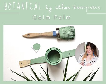 Botanical by Chloe Kempster - Daydream Apothecary Paint Clay and Chalk Paint No VOC Furniture Artisan Paint