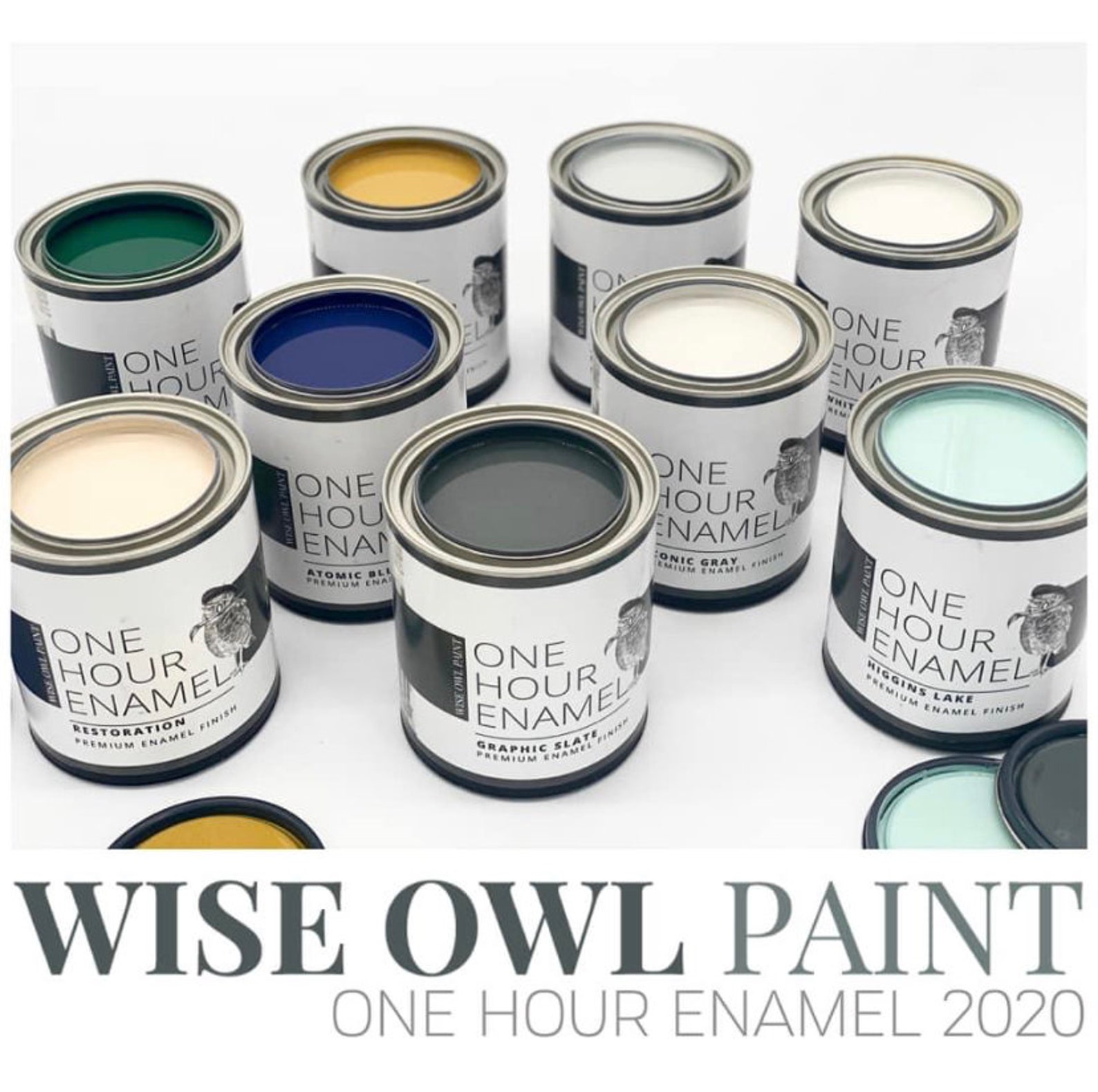 Wise Owl One Hour Enamel Paint Etsy