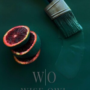 Wise Owl Chalk Synthesis Paint – Zero VOC, Highly Pigmented Furniture Paint imagem 6