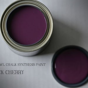 Pode incluir: Uma lata de tinta Wise Owl Chalk Synthesis na cor Cereja Negra. A tinta &eacute; de cor roxa escura.