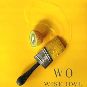 Wise Owl Chalk Synthesis Paint – Zero VOC, Highly Pigmented Furniture Paint imagem 4