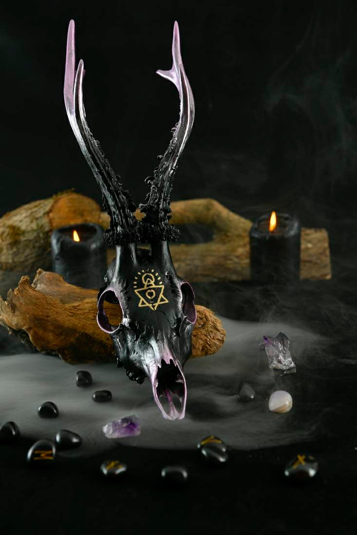 Crâne de Chevreuil - Chakra Sahasrara