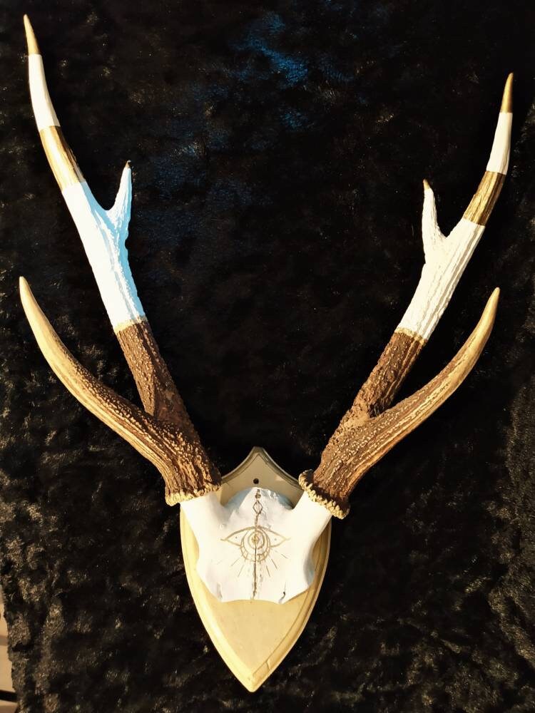 Crâne de Cerf - Or et Blanc