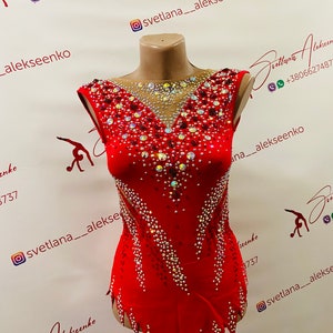 Custom Made Girls Rhythmic Gymnastic Leotard 新体操レオタード