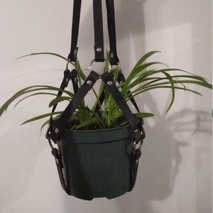 Leather, plant, holder, with rings, recycled, goth, kink, pride, plants