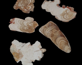 Travertino de la cueva Kokoweef de California, nombre comercial &#39;&#39;Cave Onyx&#39;&#39; Intercrecimiento raro de calcita y aragonito con fuerte fluorescencia Luz negra UV