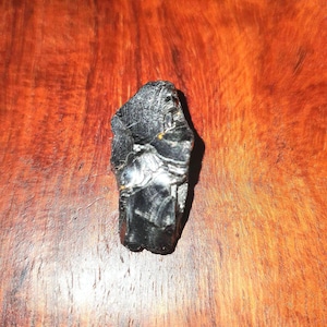 Shungite naturale grezza d&#39;élite proveniente dalla miniera russa, materia organica fossilizzata, pietra preziosa mineraloide grezza per la collezione e l&#39;artigianato