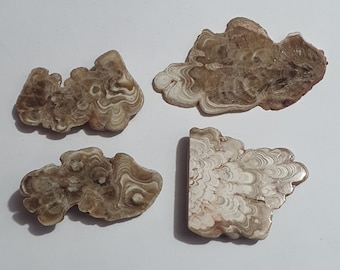 Travertino de la cueva Kokoweef de California, nombre comercial &#39;&#39;Cave Onyx&#39;&#39; Intercrecimiento raro de calcita y aragonito con fuerte fluorescencia Luz negra UV