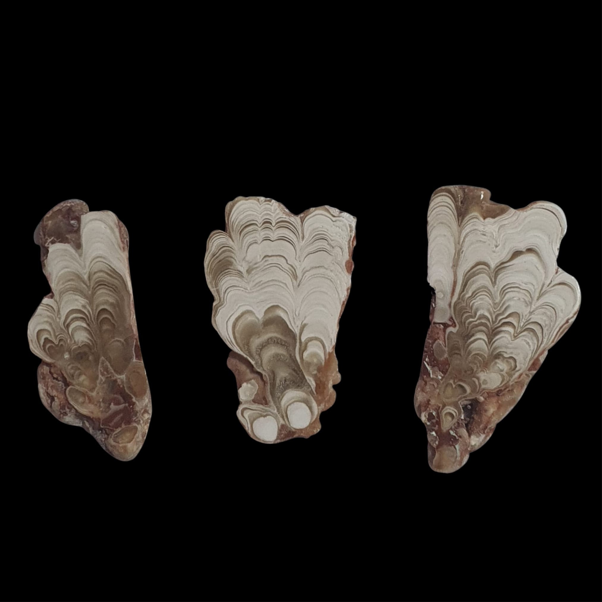 Travertino de la cueva Kokoweef de California, nombre comercial ''Cave Onyx'' Intercrecimiento raro de calcita y aragonito con fuerte fluorescencia Luz negra UV