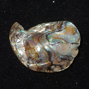 Rare Abalone Blister Pearl: Natural Gemstone with Rainbow Flash
