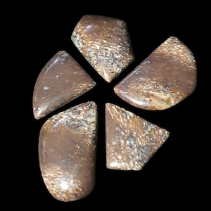 Dinosaur Bone Cabochon Set from North American Jurassic Mesozoan, Cabs for Jewelry Making and Crafting