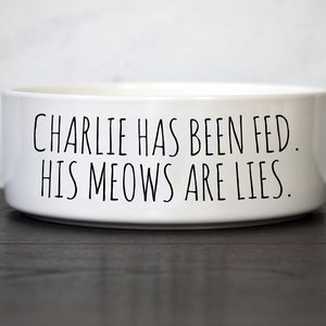 Funny Cat Food Bowl, Ceramic Pet Bowl image 1