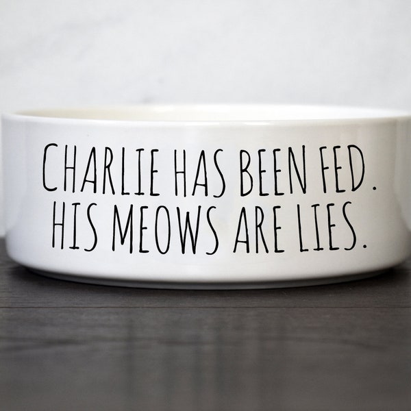 Funny Cat Food Bowl, Ceramic Pet Bowl
