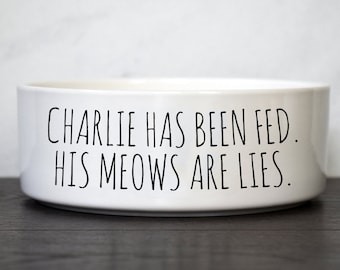 Funny Cat Food Bowl, Ceramic Pet Bowl