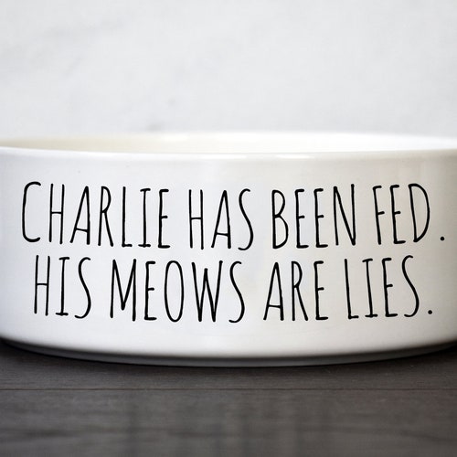 Funny Cat Food Bowl Ceramic Pet Bowl Etsy funny-cat-food-bowl-ceramic-pet-bowl-etsy