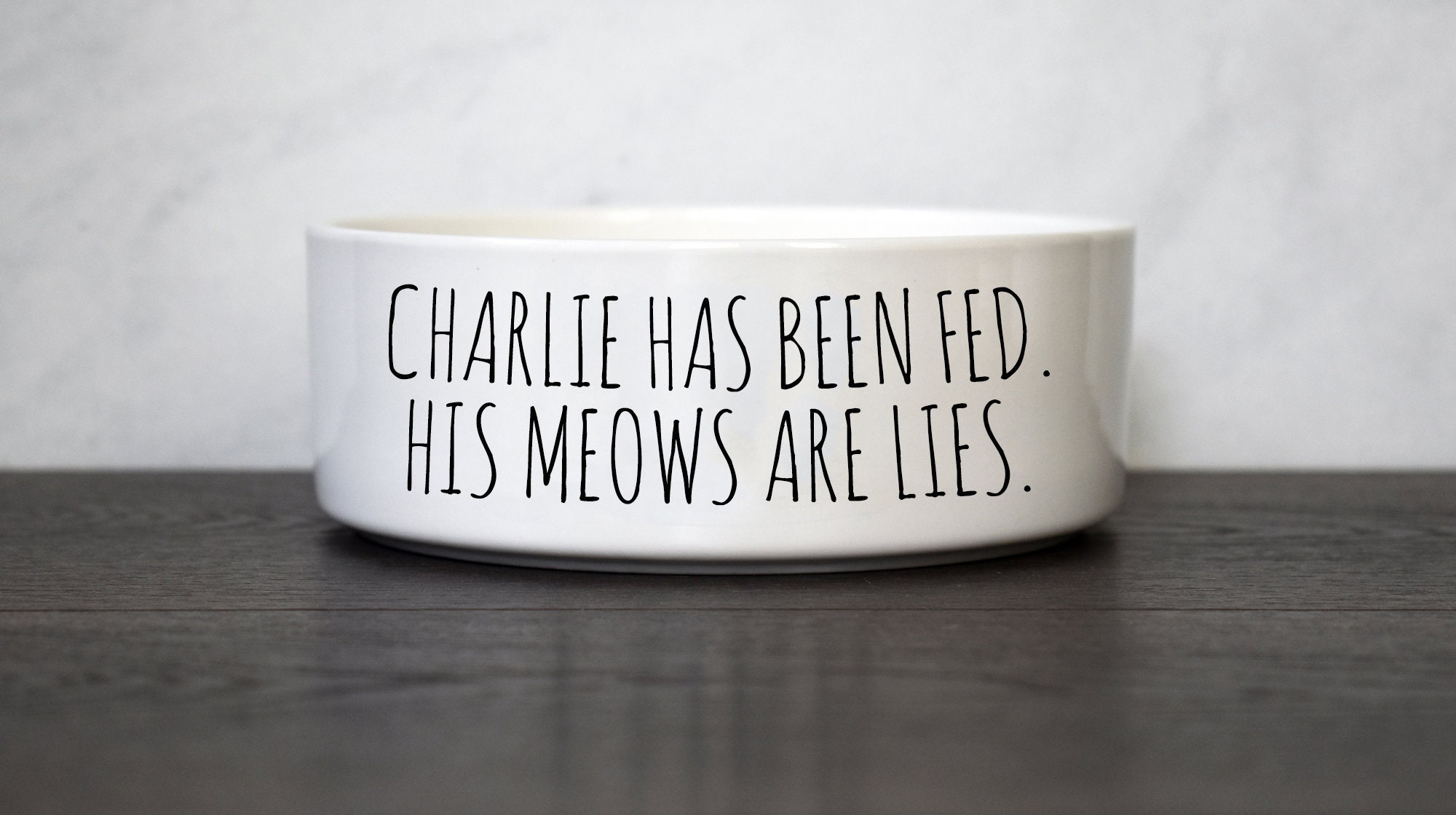 Funny Cat Food Bowl Ceramic Pet Bowl Etsy