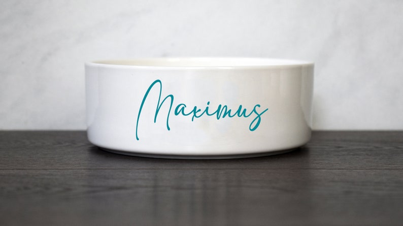 Puede incluir: Taz&oacute;n de cer&aacute;mica blanco para mascotas con el nombre "Maximus" escrito en letras cursivas azul turquesa.