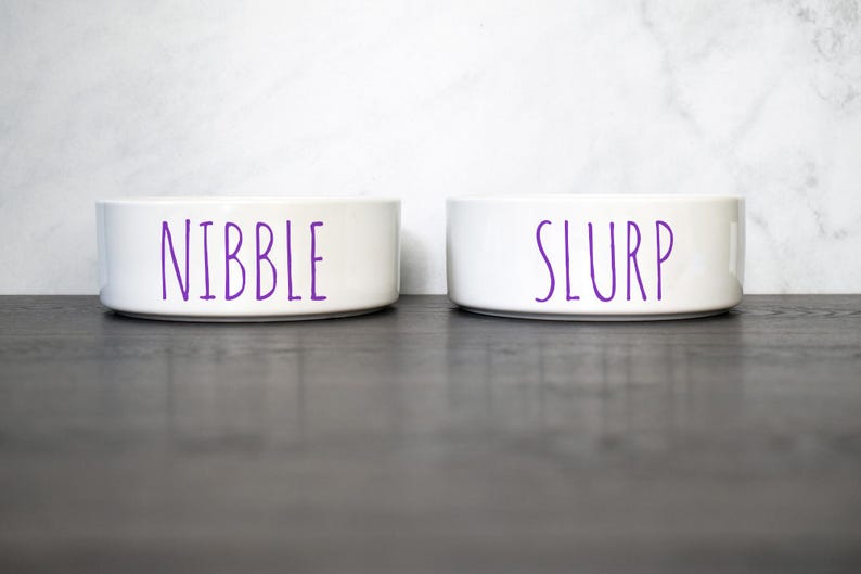 Dog Food Bowl or Bowl Set, Ceramic Pet Water Bowls, Nibble and Slurp Dog or Cat Food Bowls, Modern Dog Bowls, Funny Dog Gift for New Puppy image 6