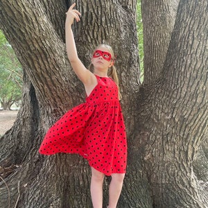 Miraculous ladybug cheap fancy dress