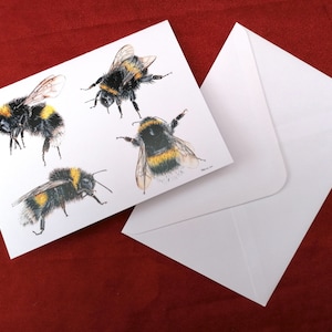 Tarjeta de abejorro, tarjeta de abeja, tarjeta de felicitación, tarjeta de insecto, tarjeta de error, tarjetas de animales, tarjeta de felicitación en blanco, tarjeta de cumpleaños, abejorro, abeja, tarjetas