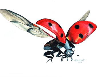 Ladybird, Ladybird Print, Ladybird Painting, Ladybird Artwork, Insect Painting, Insect Print, Insect Artwork, British Wildlife, Wildlife