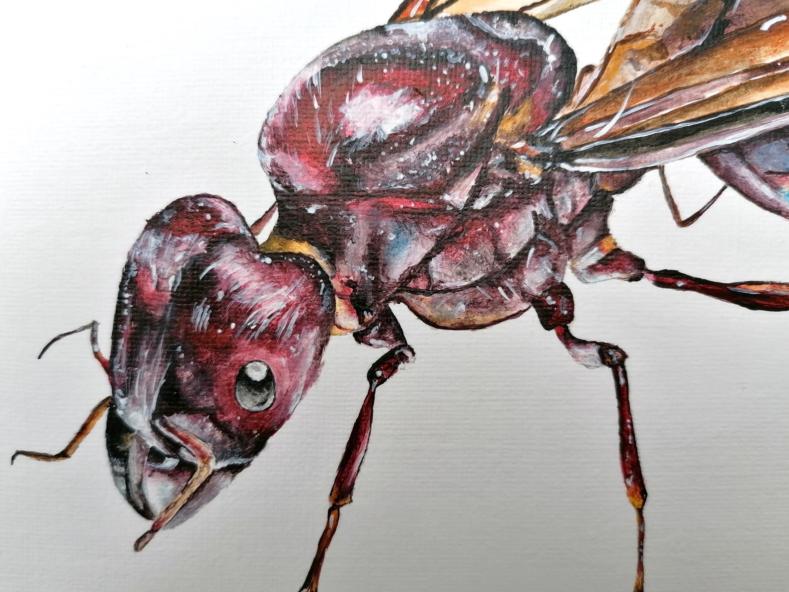 Original Flying Ant Painting Ant Artwork Ant Painting Etsy