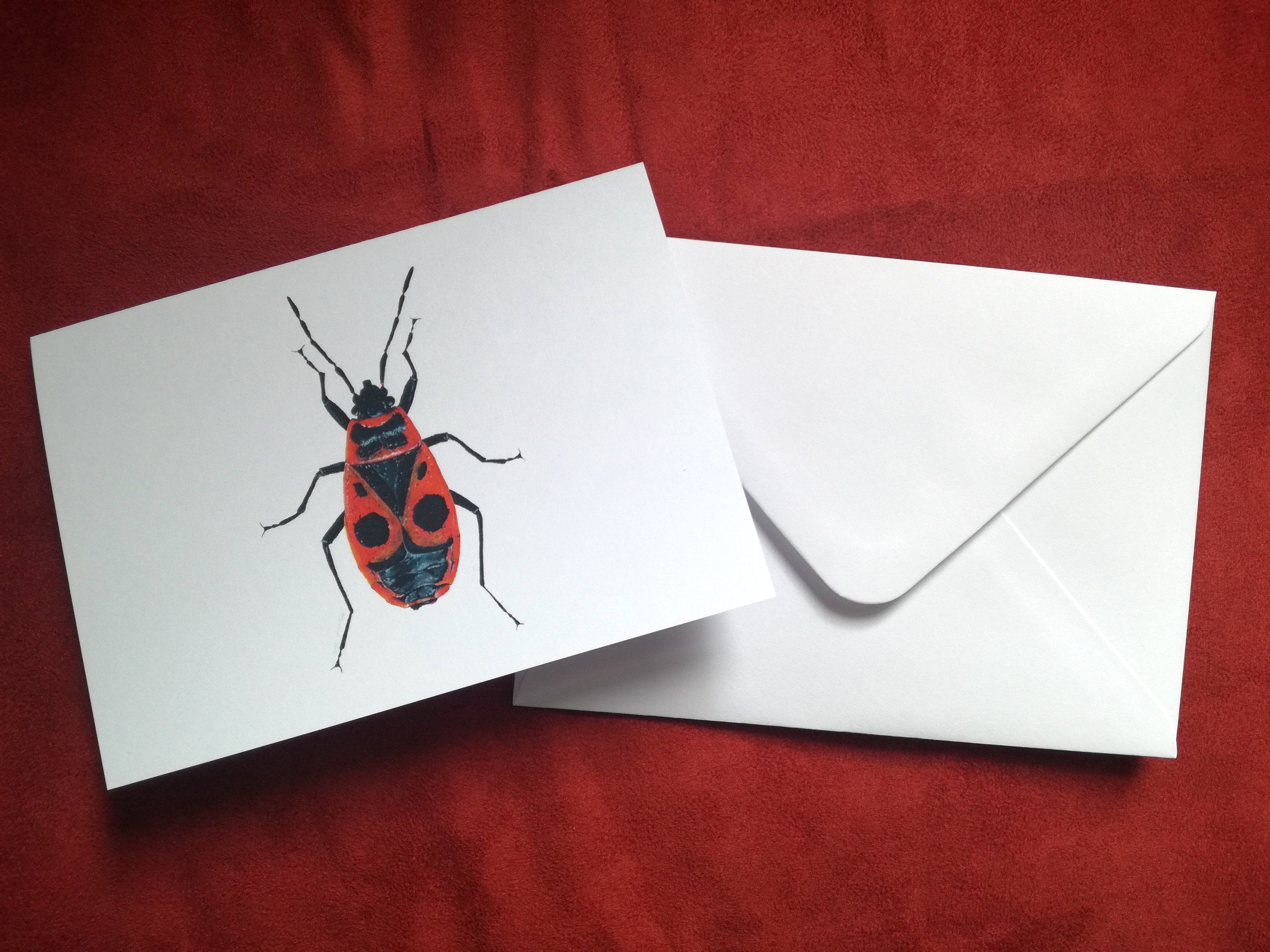Fire Bug Card, Bug Card, Greetings Card, Insect Card, Animal Cards ...