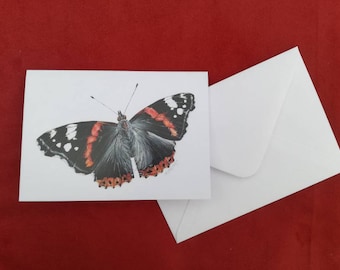 Red Admiral Butterfly Card, Butterfly card, Greetings card, Insect card, Animal cards, Blank greetings card, Birthday card, Butterfly, Cards