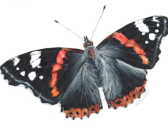 Red Admiral Butterfly, Butterfly Print, Butterfly Painting, Butterfly Artwork, Insect Print, Insect Artwork, Insect Painting, Wildlife, Gift