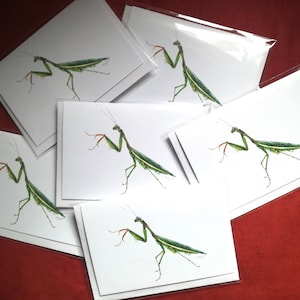 Carte de mante religieuse, carte de voeux, carte d'insecte, carte d'insecte, cartes d'animal, carte de voeux vierge, carte d'anniversaire, oeuvre d'art de mante religieuse
