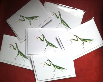 Praying mantis Card, Greetings card, Insect card, Bug card, Animal cards, Blank greetings card, Birthday card, Praying Mantis artwork